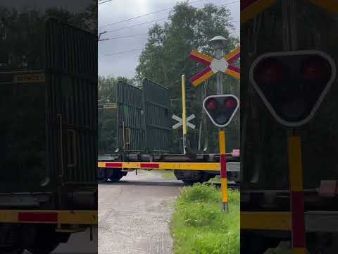 Hectorrail Freight passes