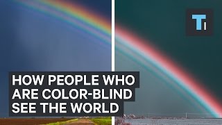 How people who are color-blind see the world