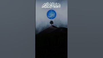 سورة يس | ابو بكر الشاطري | تلاوة وقراءة جميلة وخاشعة وهادئه