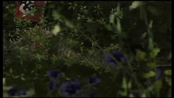 Call of Duty 3 | Eder Dam