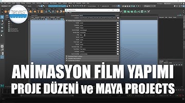 Animasyon Film Yapımı İçin Proje Düzeni ve Maya Projects