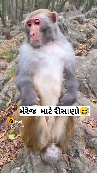 😀😀😀😀