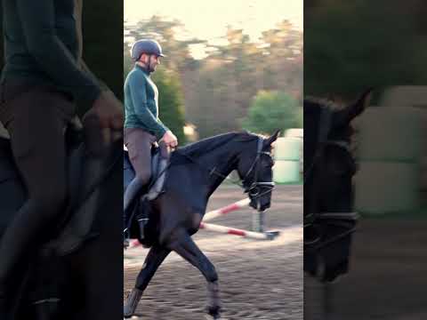 Training mit Moon Shadow