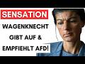Spektakulär: Wagenknecht will nicht regieren und fordert AfD+CDU!