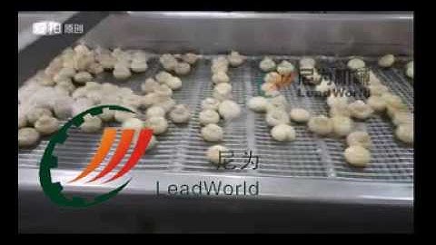 video of mushroom washing and de watering machine from coco