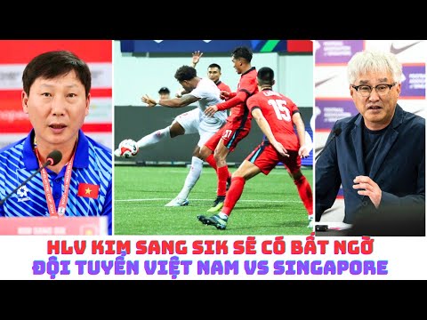 Đội tuyển Việt