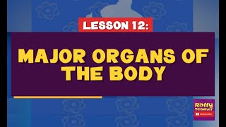 Major Organs Of The Body  Science 4