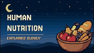Human Nutrition Essentials to Fall Asleep To