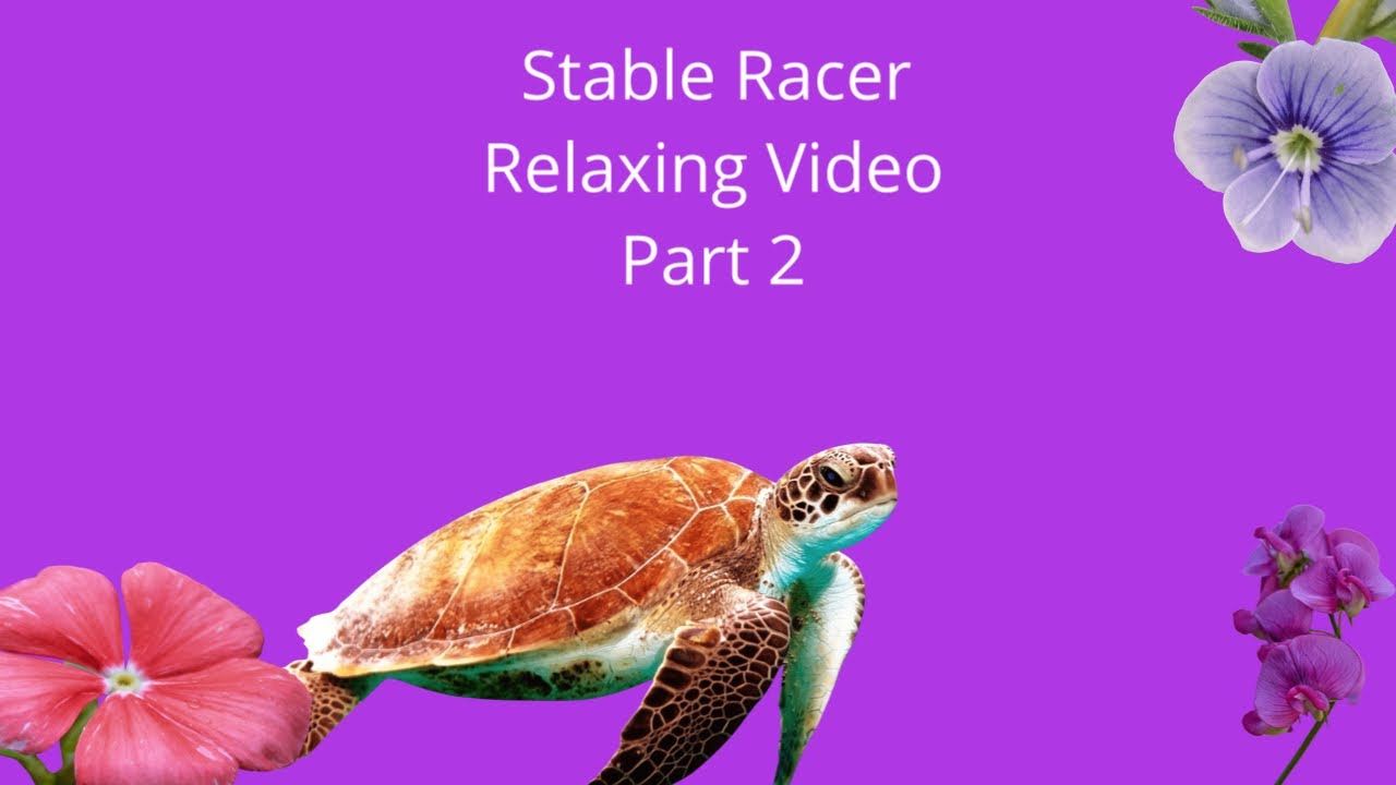 STAR STABLE RELAXING VIDEO PART 2 ( Stable Racer) :)