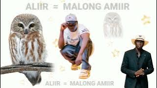 Aliir by malong amiir new song  // South sudan music latest song of 2025