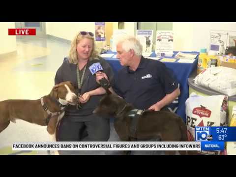 video phone lyrics Pet Connection 5 2 19 OTR Baby and Winston 530pm