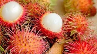 Manfaat Buah Rambutan Untuk Kesehatan Tubuh Kita, Terbaru 2020