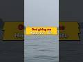 Happiness flows like the tide #funny #happinessunlocked #god