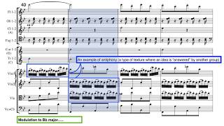 Video thumbnail of "Haydn Clock Symphony 2nd Movement - analysis (GCSE AQA Music Set Work)"