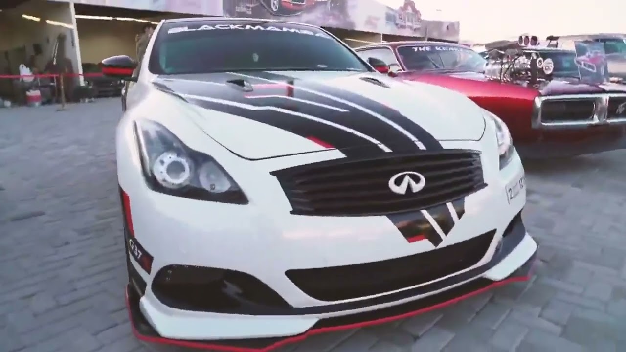 Al wathba Custom Show 2022