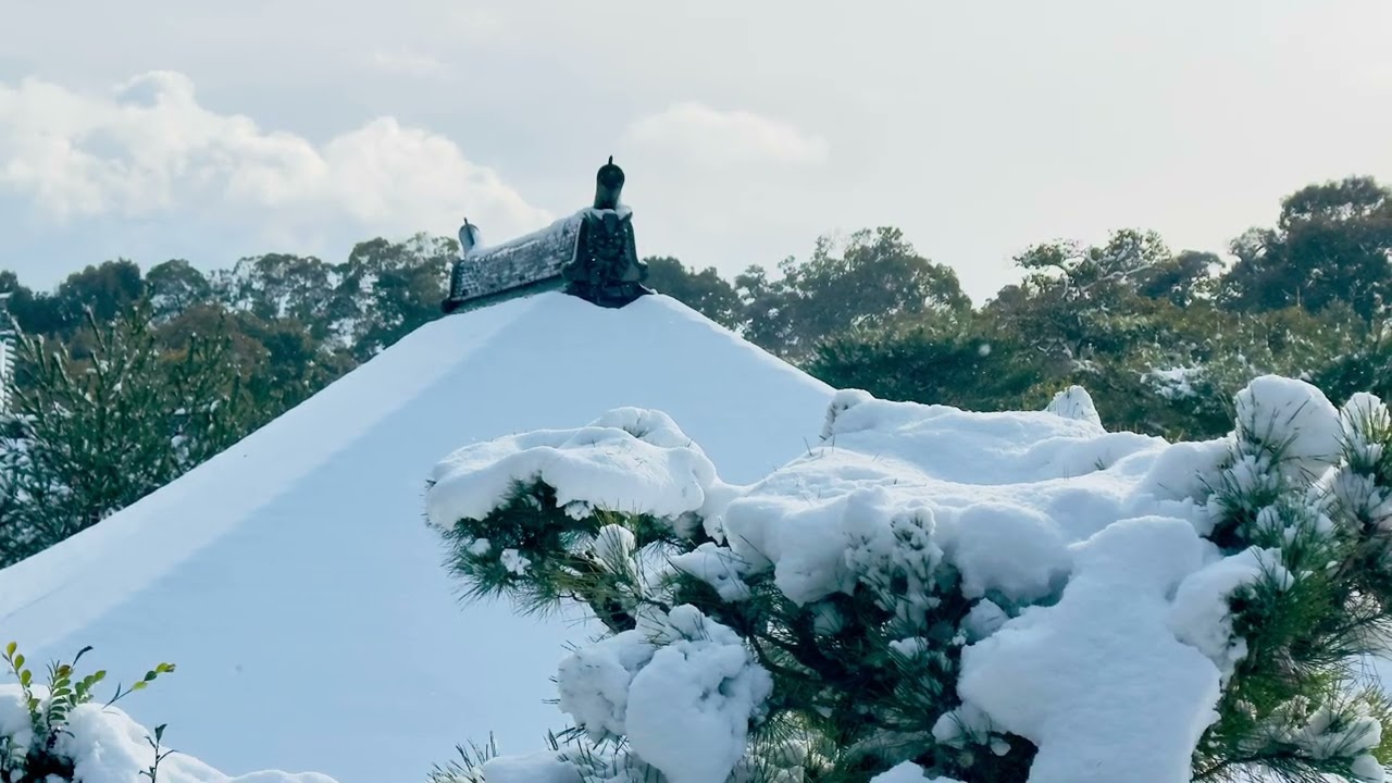 2026.2.8.日本京都 金閣寺
