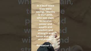 Daily Bible Verse of The Day -  Revelation 5 12