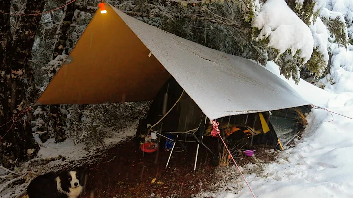 Tent Camping in Rain and Snow - 2 Nights - Fire - Dog