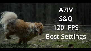 SONY A7IV -How to set up  S&Q Mode - Slow Motion -  120p in 2 Minutes