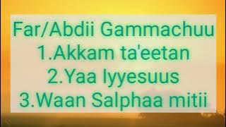 Abdoo Gammachuu