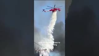 "Why Firefighters Set Fires to Stop Wildfires! 🔥🚒"