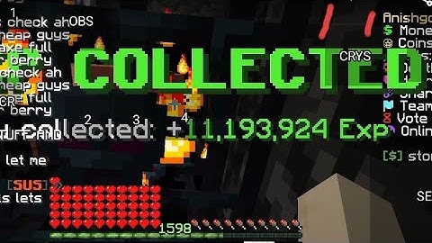 Collect xp [ applemc ]