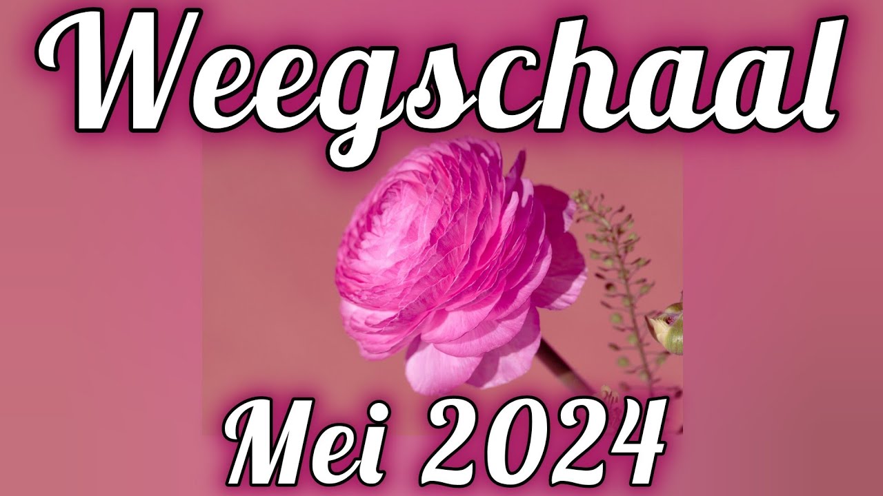 Weegschaal  Sterrenbeeld reading Mei 2024- Tarot reading- Licht en Helderheid