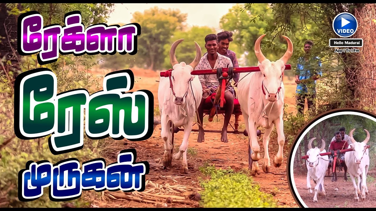 ரேக்ளா ரேஸ் நகை கடை முருகன் | ரேக்ளா பந்தய மாடு வளர்ப்பு | Rekla Race | Hello Madurai | Tv | Fm |