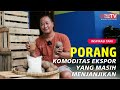 Prospek dan Tantangan Budidaya Porang Kedepan, Petani Baru Harus Tahu!