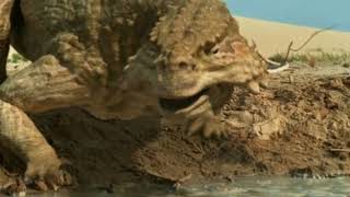 BBC Walking with Monsters Episode 3 - Clash of Titans