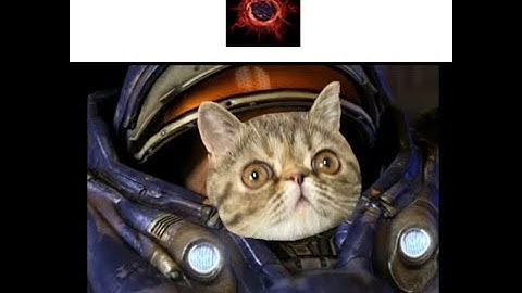 [Guide] Void Rifts (Tychus)