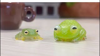 カエルに自分とそっくりなフィギュアを見せると… by ぴよのカエルch 254,589 views 2 months ago 1 minute, 20 seconds