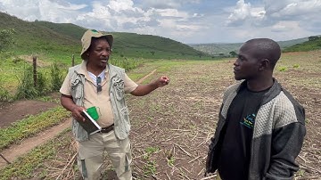 Explanation of How to Apply Lime for Soil pH Correction