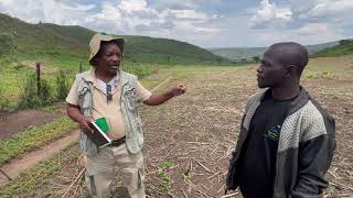 Explanation of How to Apply Lime for Soil pH Correction