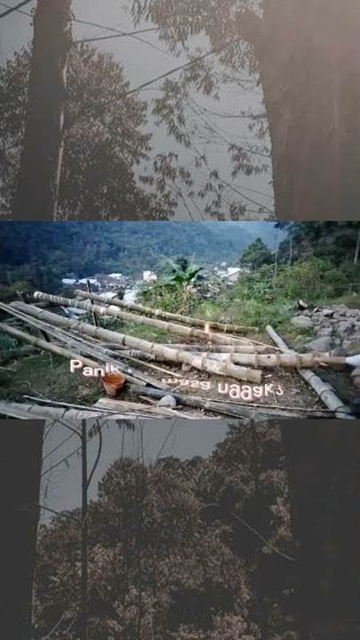 Meriam Bambu super, bambunya sampai pecah#shorts#meriambambu#petasanlebaran #ramadhan2022