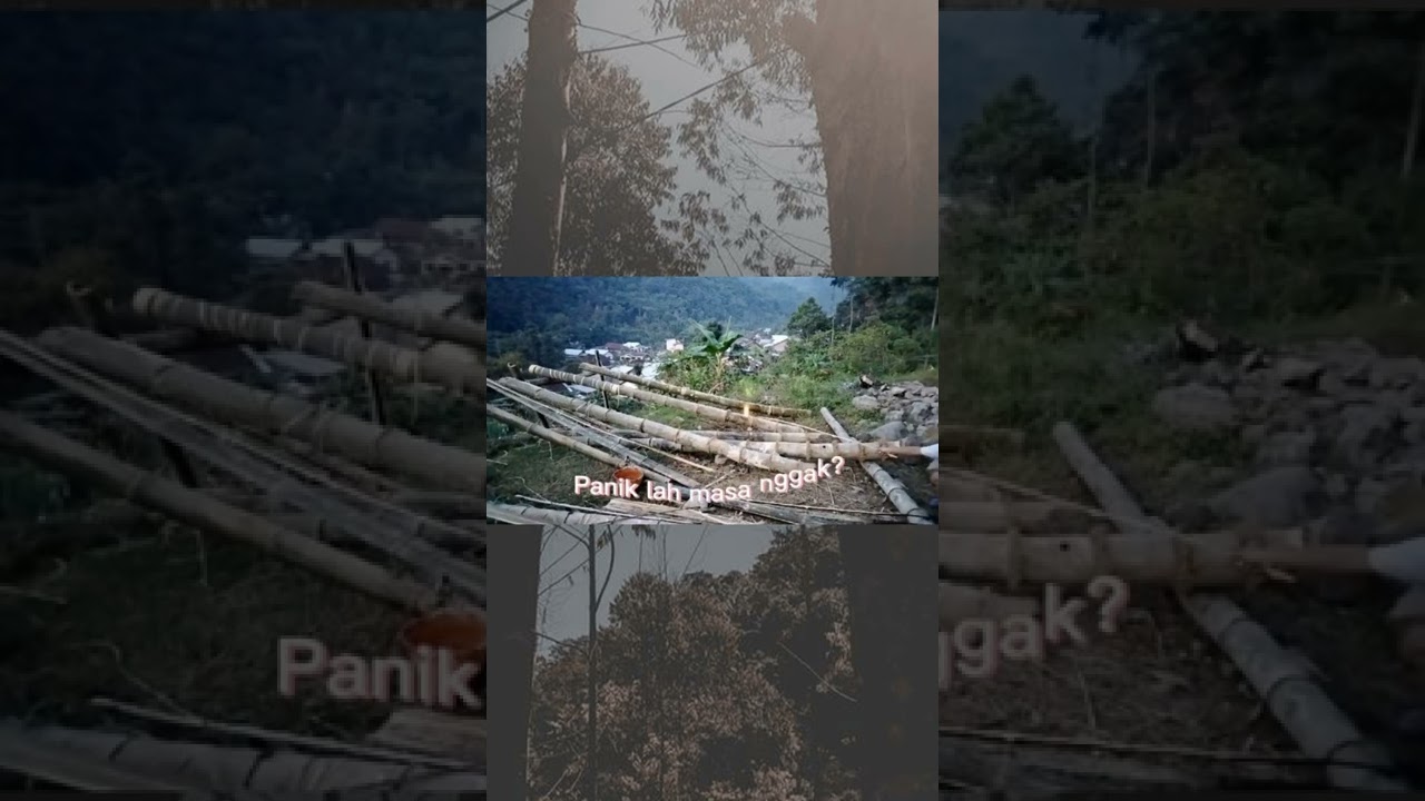 Meriam Bambu super, bambunya sampai pecah