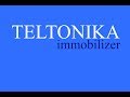 TELTONIKA immobilizer iBeacon how it works. TELTONIKA иммобилайзер iBeacon как работает.