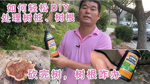 如何DIY輕鬆處理樹樁、樹根。不挖坑，自然處理。砍樹後樹根100%死掉永不發芽🌱！ - 天天要聞