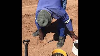 Watermelon Seeding