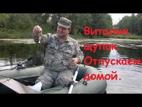 Виталин щупак