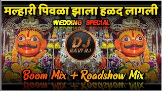 Malhari Pivla Zala Halad Lagali | Boom Mix   Roadshow | DJ Ravi RJ