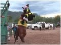 Carreras de Caballos en Huasabas,Son 13 de Agosto 2016