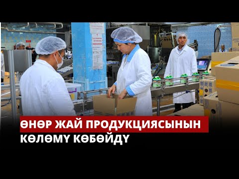 Video: XXI кылымдан репортаж: Советтик академиктердин келечек женундегу божомолдору