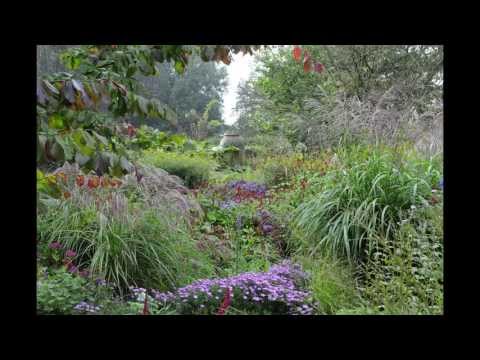 Video: Colchicum - Decoratie Van De Herfsttuin