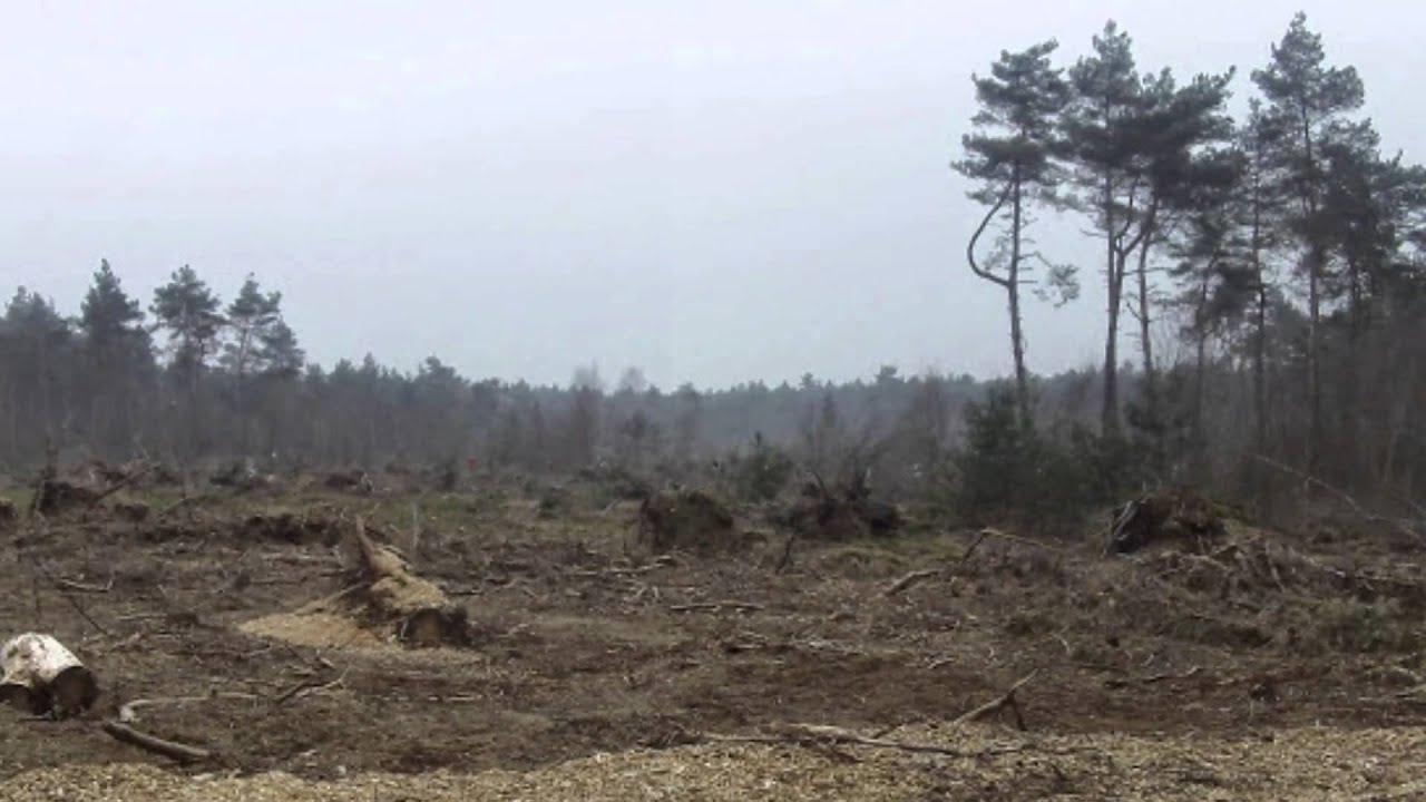 SallandTrail 2015 (trailer)