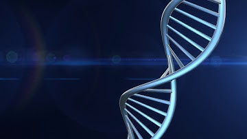 Motion Graphics » DNA Strand Rotate Loop with Alpha Matte