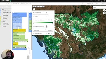 Estimate forest carbon density - Nature Based Solutions project due diligence