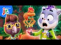 Poisonous Creatures Investigation Quiz