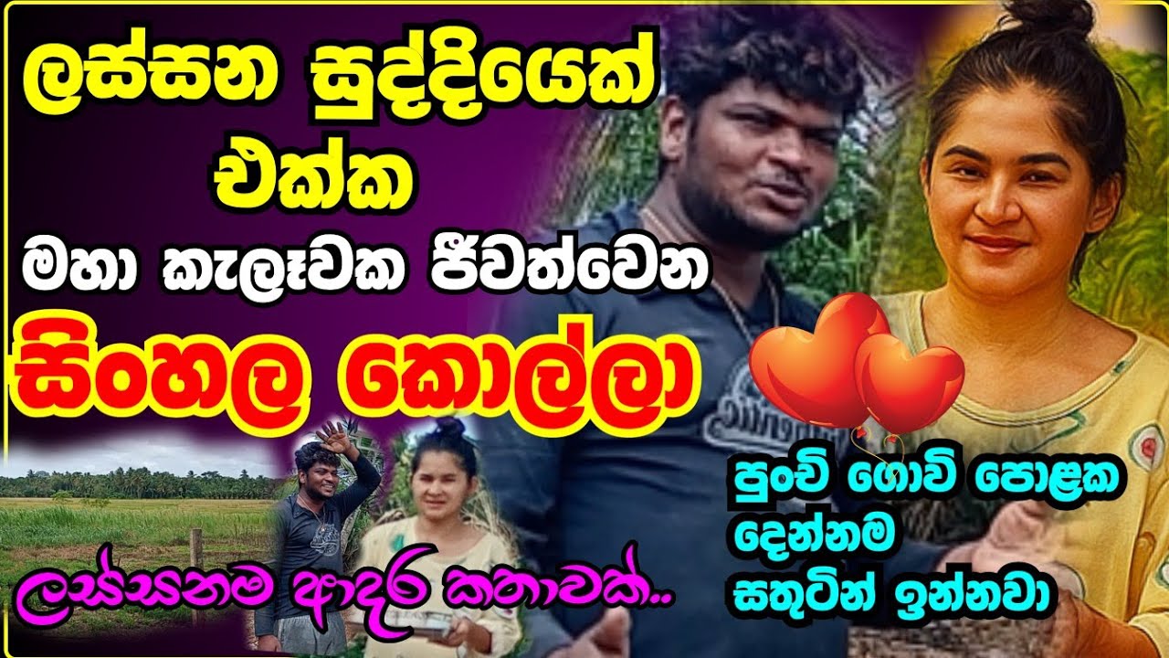 පිටරට සුද්දියෙක් එක්ක මහා කැලෑවක ජීවත් වෙන සිංහල කළු කොල්ලා😍ලංකාවෙ තමයි ඉතිං වෙන කොහේද?#sltunewm