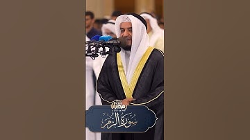 ما تيسر من سورة الزمر 🎧🤍 #المصحف #قرآن #قران_كريم #سورة_الزمر #مشاري_العفاسي
